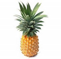 Ananas Victoria