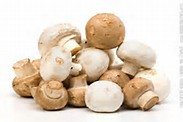 Champignon de Paris Brun et Blanc