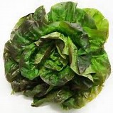 Salade Rougette